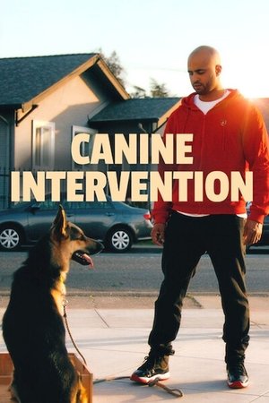 Canine Intervention