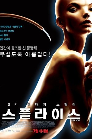스플라이스