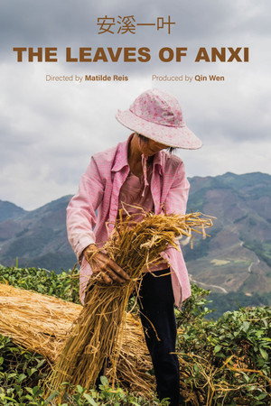 The Leaves of Anxi poster