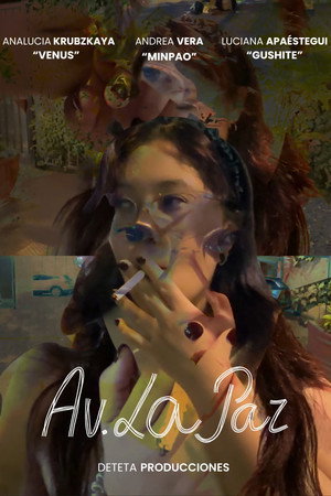 Av. La Paz poster