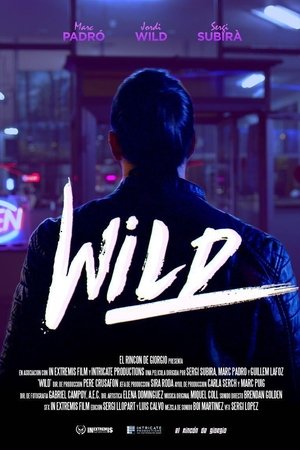 Wild: la película