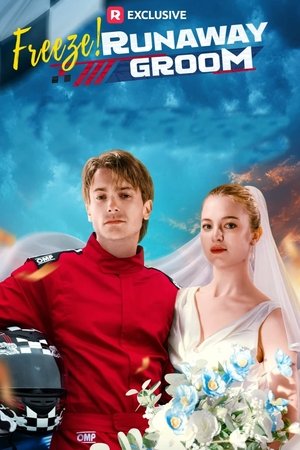 Freeze! Runaway Groom