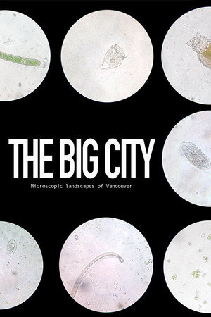 The Big City poster