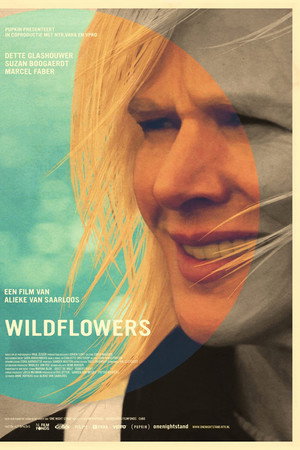 Wildflowers poster