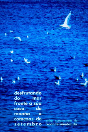 enjoying the sea in front of his house in moaña in early september poster
