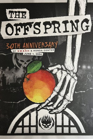 The Offspring - SMASH 30th Anniversary Concert