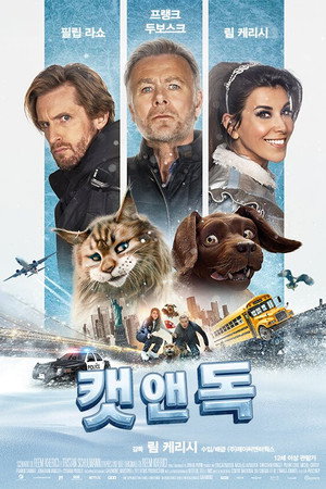 캣 앤 독