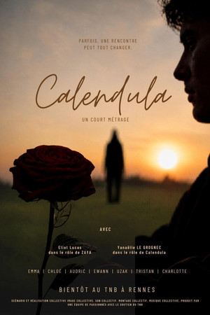 Calendula poster