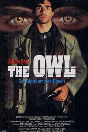 The Owl