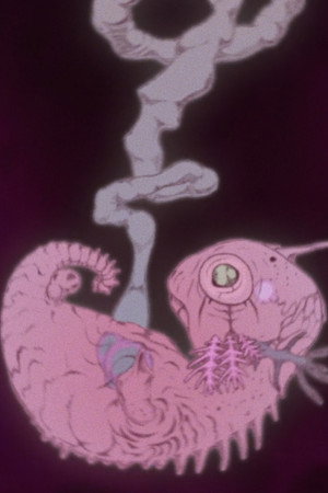 Chimera poster