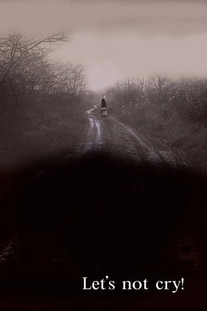Let's Not Cry! poster