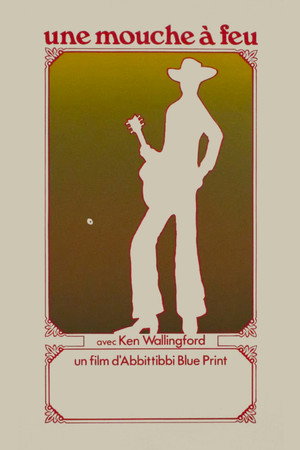 Mouche à feu poster