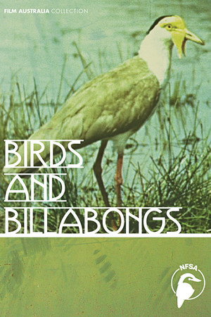 Birds and Billabongs poster