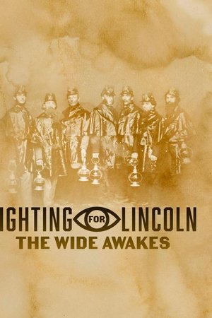 Fighting for Lincoln: The Wide Awakes