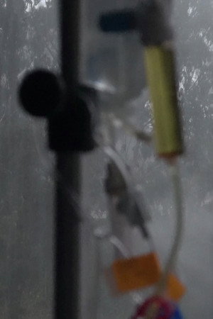 Knot (Fog, Eucalyptus, Methotrexate) poster