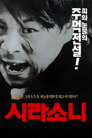 시라소니 시라소니