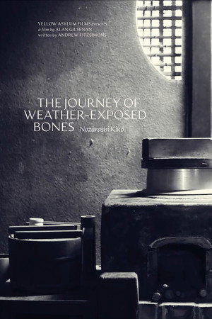 The Journey of Weather-Exposed Bones