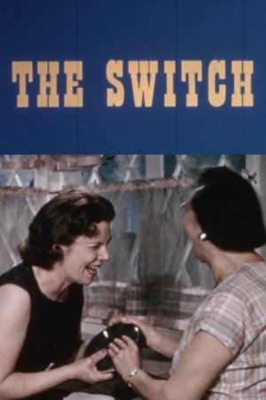 The Switch poster