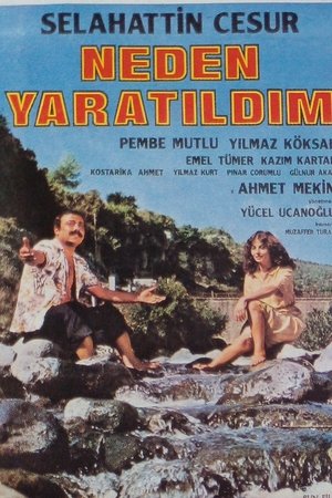 Neden Yaratıldım