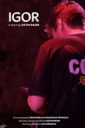 IGOR (Sound: The Invisible Crew) poster
