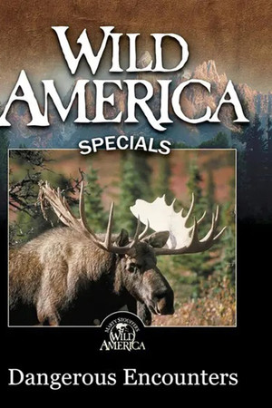 Wild America - Dangerous Encounters poster
