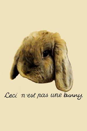 Bunny poster