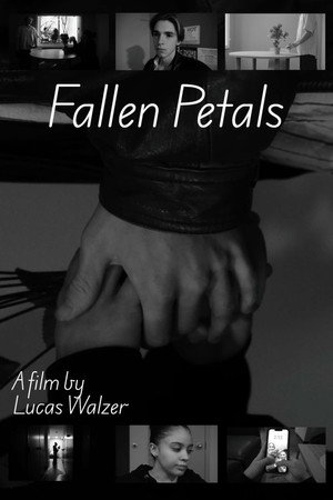 Fallen Petals