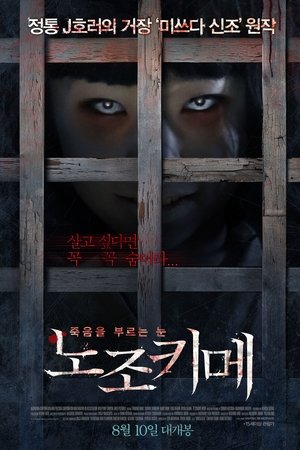 노조키메