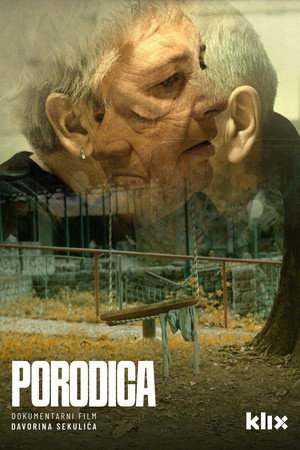 The Family poster