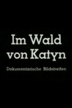 In the Forest of Katyn poster