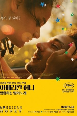 아메리칸 허니: 방황하는 별의 노래