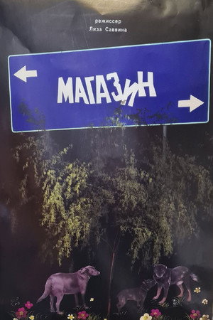 The Store poster