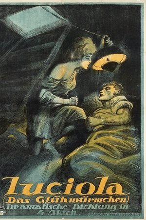 Lucciola