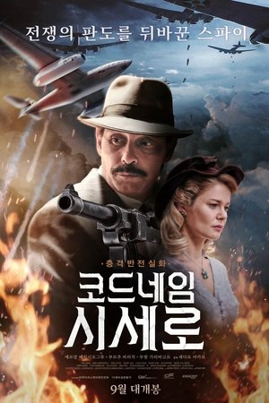 코드네임 시세로