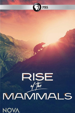 Rise of the Mammals Rise of the Mammals