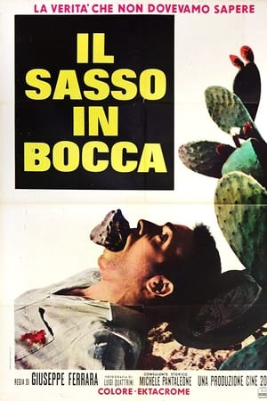 Il sasso in bocca