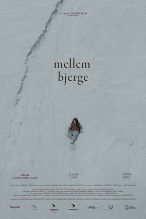 Mellem Bjerge