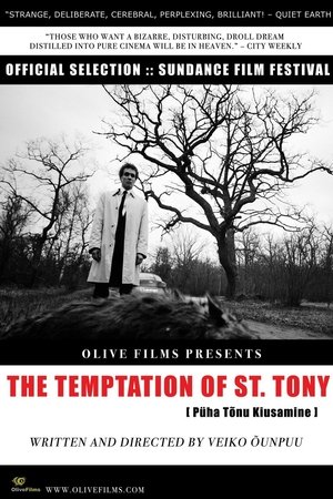The-Temptation-of-St.-Tony-(2009)
