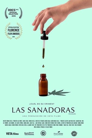 The Healers poster