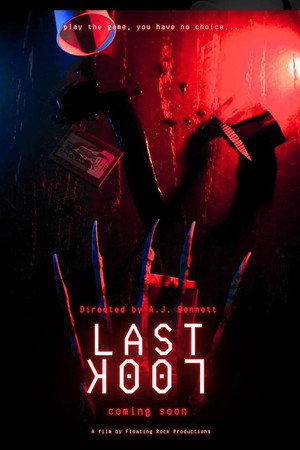Last Look poster