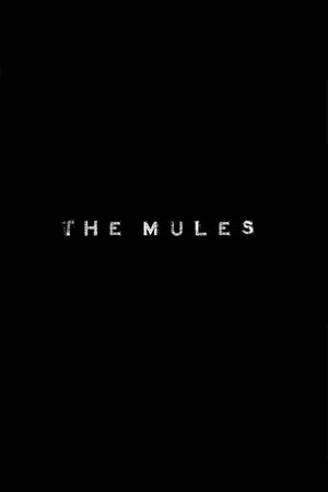 Mulai