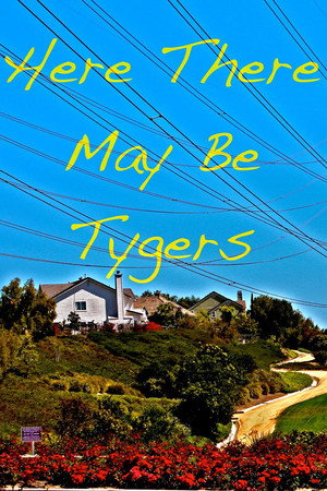 Here There May Be Tygers