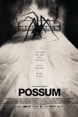 Imagem Possum