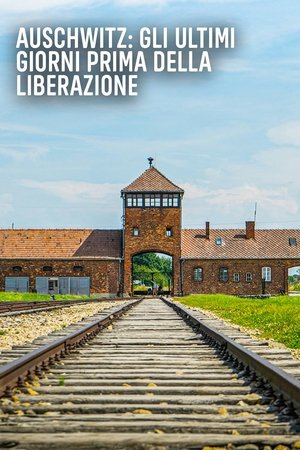 Auschwitz: Countdown to Liberation