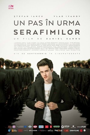 Un pas în urma serafimilor