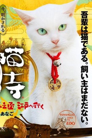 猫侍 玉之丞、江戸へ行く