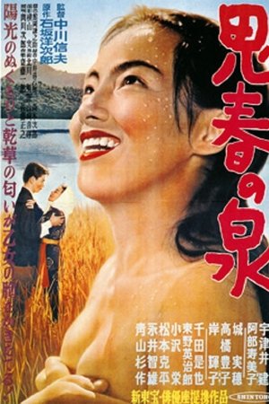 思春の泉