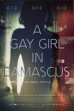 A Gay Girl in Damascus: The Amina Profile