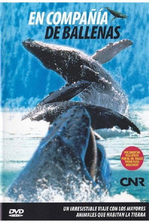 In the Company of Whales