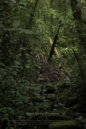 O verde fascínio me faz distante